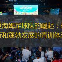海登海姆足球隊的崛起：戰術創新和蓬勃發展的青訓體系