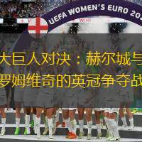 兩大巨人對決：赫爾城與西布羅姆維奇的英冠爭奪戰(zhàn)