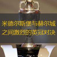 米德爾斯堡與赫爾城之間激烈的英冠對決