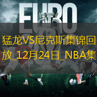 12月24日NBA常規賽猛龍-尼克斯精彩鏡頭