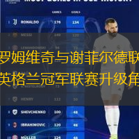西布羅姆維奇與謝菲爾德聯隊激戰：英格蘭冠軍聯賽升級角逐