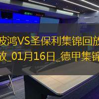 德甲-霍夫曼破門制勝德茲維卡拉補時染紅波鴻1-0圣保利