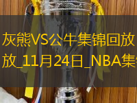 11月24日NBA常規賽灰熊-公牛精彩鏡頭