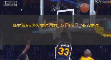 03月08日NBA常規賽森林狼-熱火精彩鏡頭