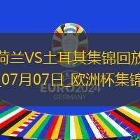 07月07日歐洲杯1/4決賽荷蘭vs土耳其精彩片段