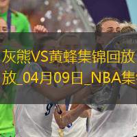 04月09日NBA常規賽灰熊-黃蜂精彩鏡頭