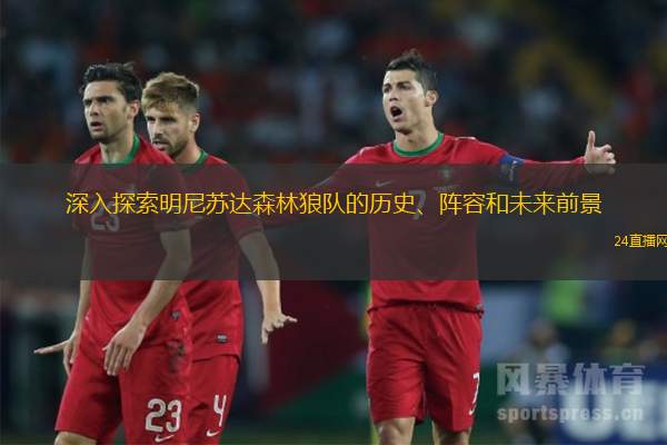 深入探索明尼苏达(dá)森林狼队(duì)的歷史、阵容和未来前景