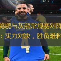 鵜鶘與灰熊常規(guī)賽對陣：實力對決，勝負難料