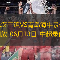 中超第14輪武漢三鎮2-0青島海牛
