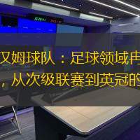 切爾滕漢姆球隊：足球領(lǐng)域冉冉升起的巨星，從次級聯(lián)賽到英冠的崛起
