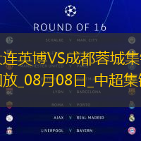 08月08日中超第20輪大連英博vs成都蓉城片段