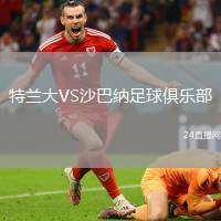 麥克阿瑟FCVS布里斯班獅吼