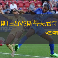 斯旺西VS斯蒂夫尼奇