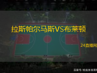 拉斯帕爾馬斯VS布萊頓
