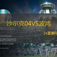 沙爾克04VS波鴻