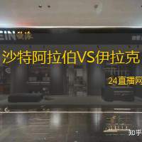 沙特阿拉伯VS伊拉克