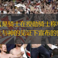 騎士宣言是騎士在授勛騎士稱號的時候，在領主與神的見證下宣布的誓言。