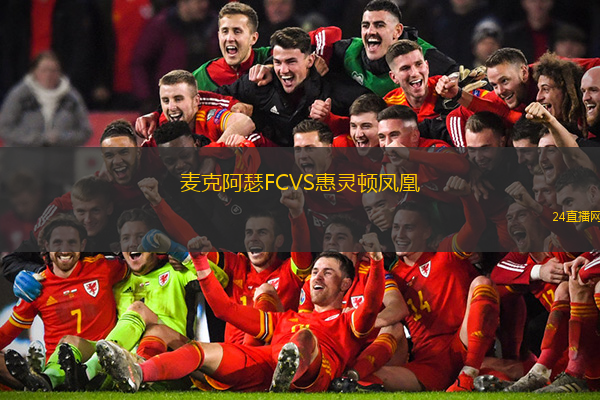 麥克阿瑟FCVS惠靈頓鳳凰