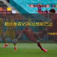 勒沃庫森VS布拉格斯巴達