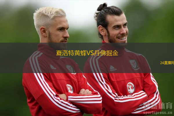 夏洛特黃蜂VS丹佛掘金