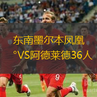 東南墨爾本鳳凰VS阿德萊德36人