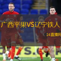 廣西平果VS遼寧鐵人