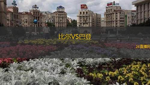 比尔VS巴登