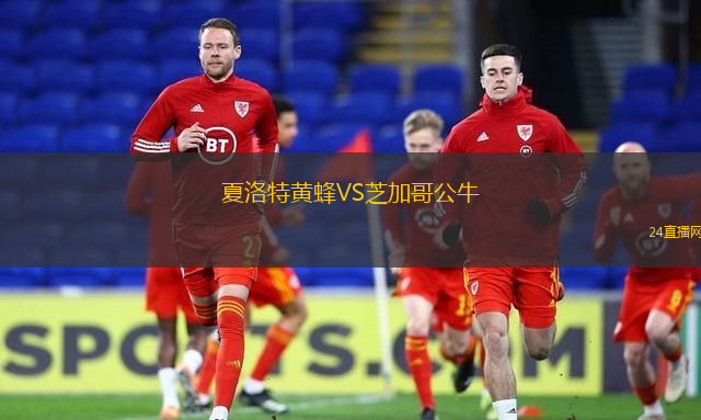 夏洛特黃蜂VS芝加哥公牛