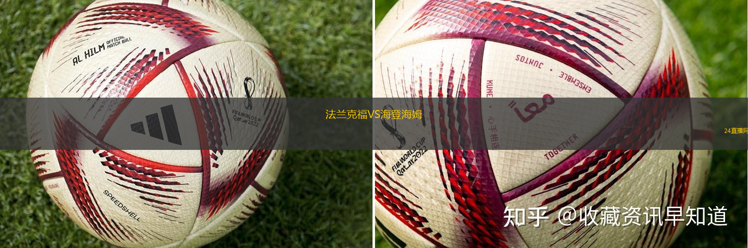 法蘭克福VS海登海姆