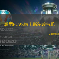 悉尼FCVS紐卡斯爾噴氣機